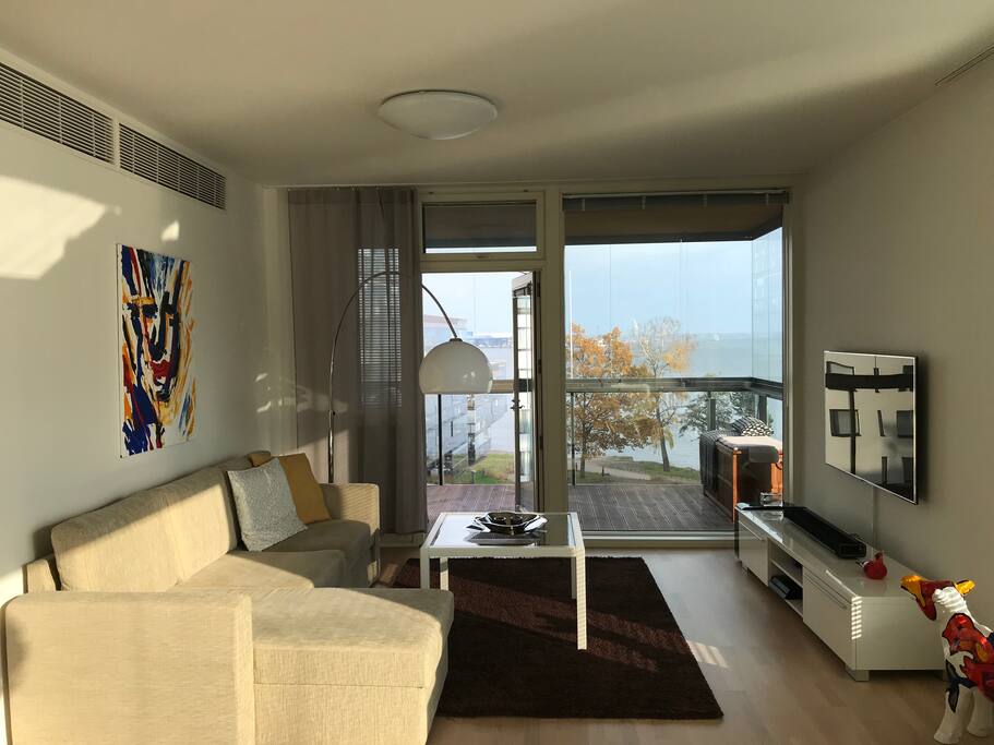 Living room and sleeping sofa for 2