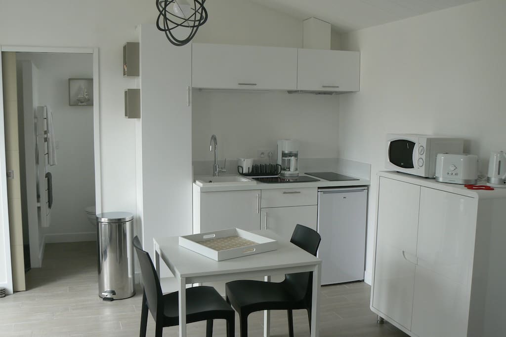 kitchenette équipée (plaque-vitro, réfrigérateur, micro-ondes, fer à repasser, grille-pain, bouilloire, cafetière )