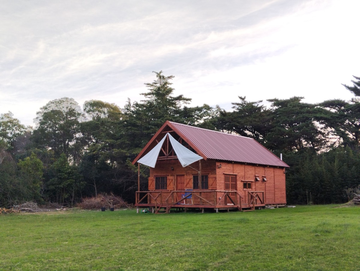 A wooden cabin presents a welcoming facade, featuring a red metal roof and a front porch surrounded by a grassy area. Trees are visible in the background, providing a natural setting. Fabric drapes gently from the roof, adding a decorative touch.