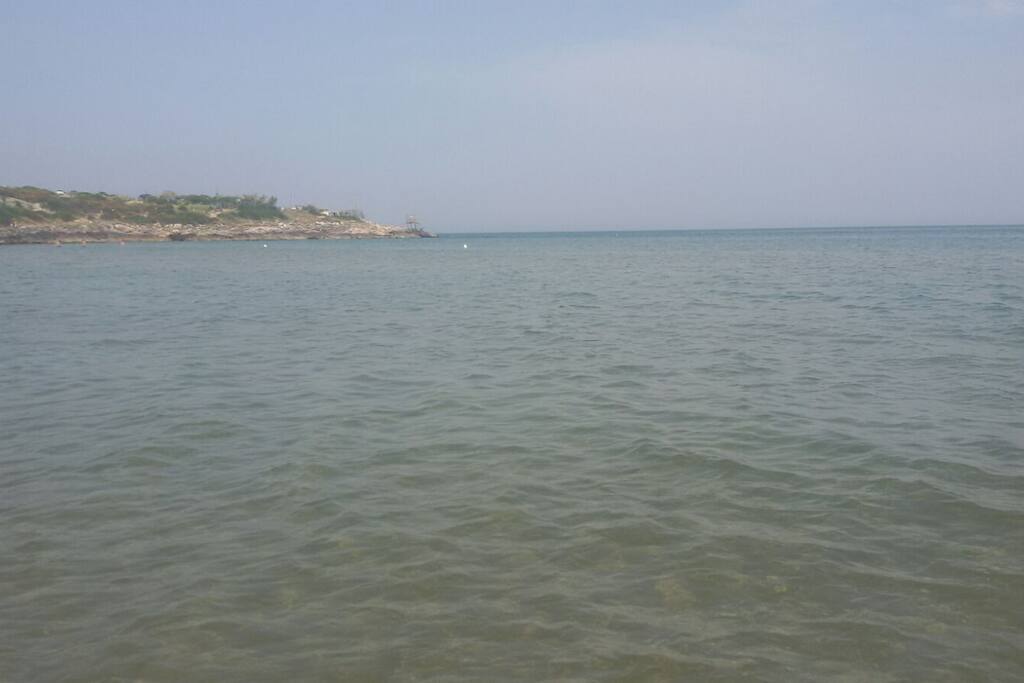 Mare