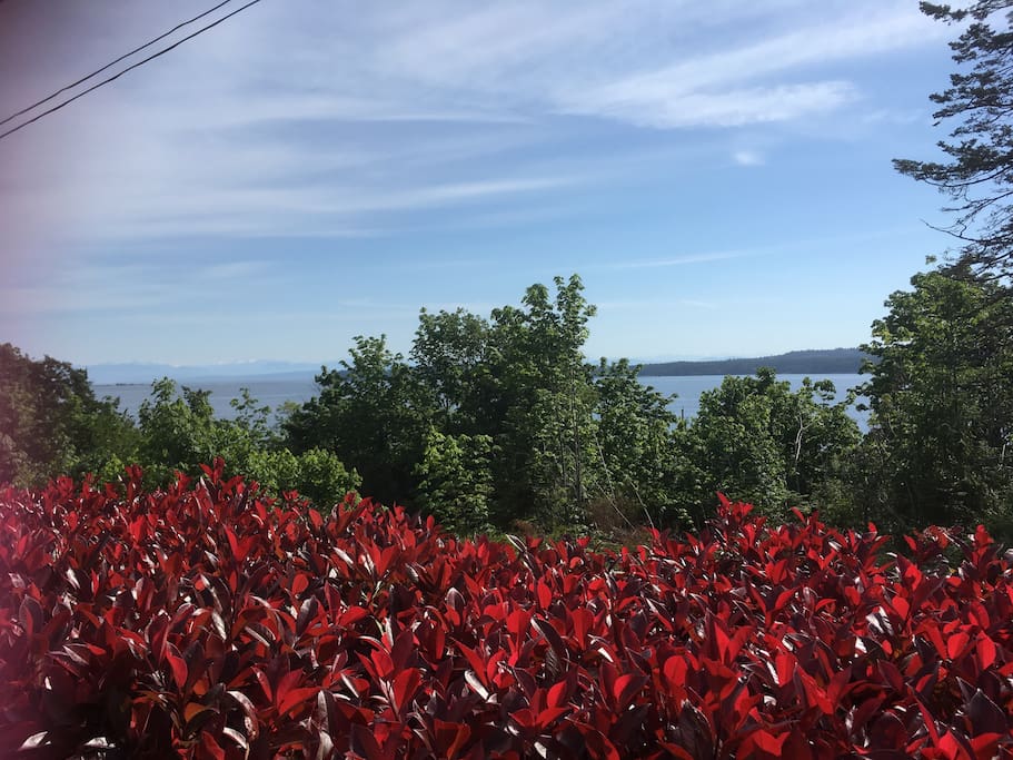 The view across Baynes Sound - looking at Denman and Tree Islands and over to the coast mountains. As seen from the living room, dining room and kitchen.