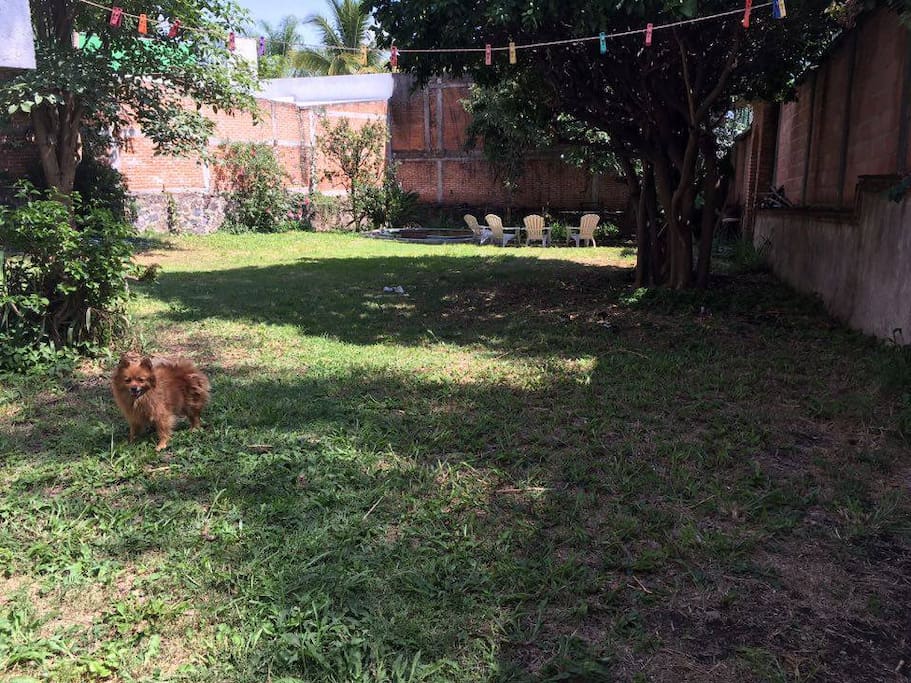 jardin