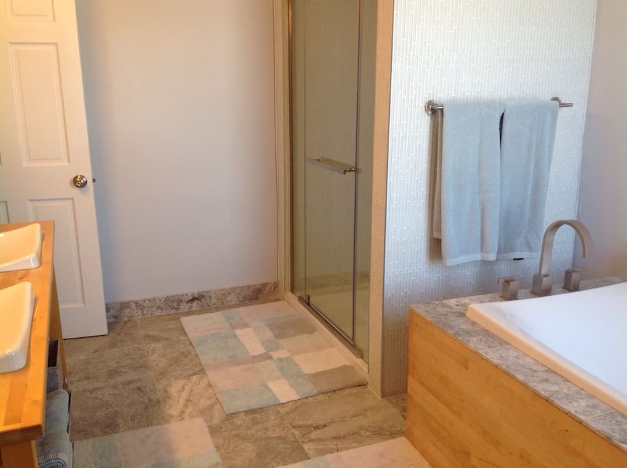 Master bath with separate shower and tub