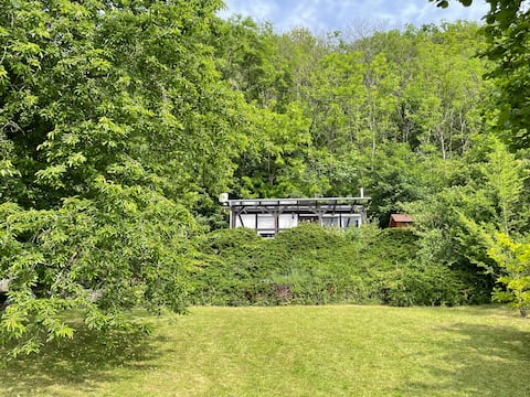 House surrounded by vineyards to relax
