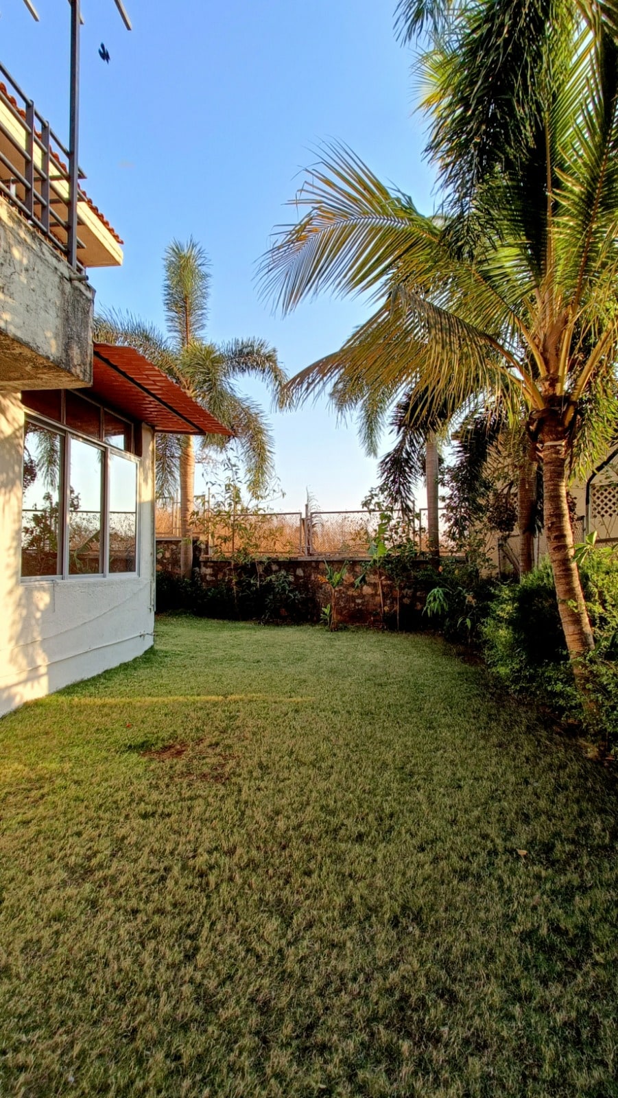 A serene garden space is featured, surrounded by lush greenery and palm trees. The area includes well-maintained grass and a clear sky above, enhancing the tranquil outdoor setting. The side of the house is visible, with large windows allowing natural light to enter.