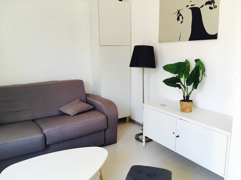 Living room with Sofa bed