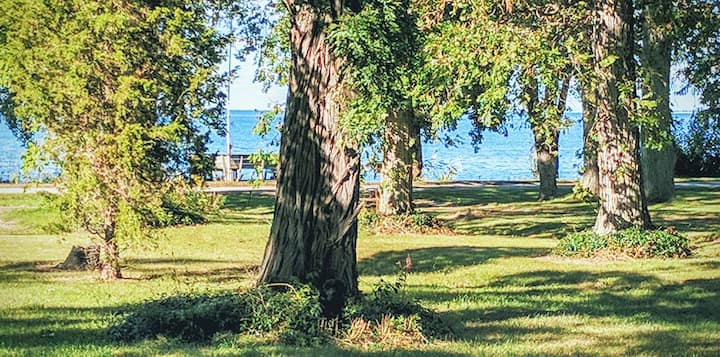 Travis and Laurie's Pelee House