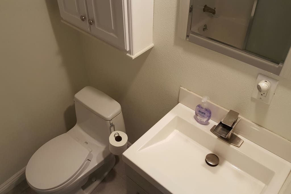 Toilet and sink