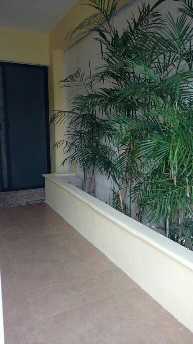 ACCESO PRINCIPAL