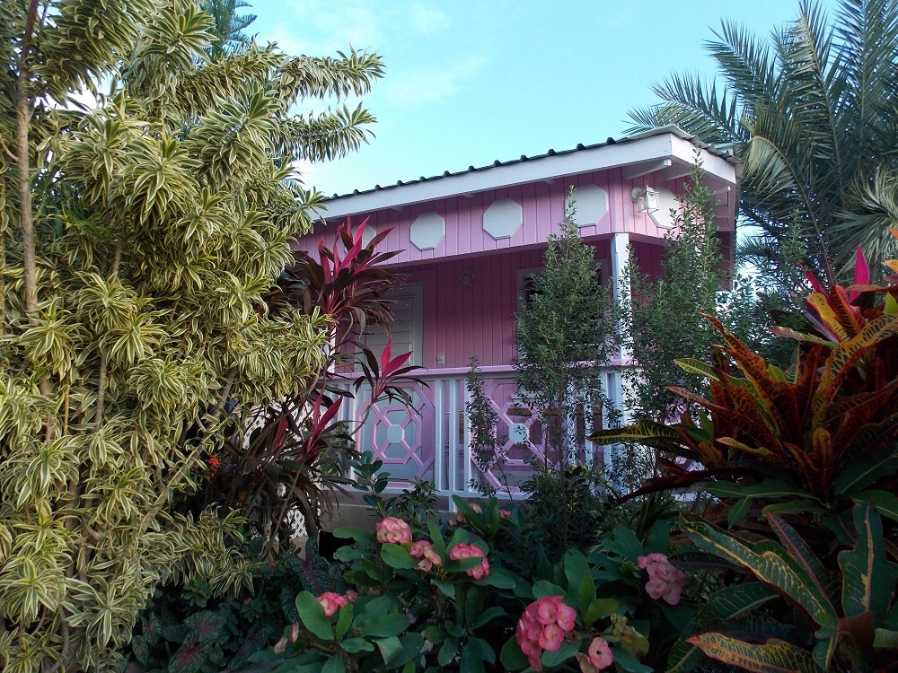 A vibrant pink cottage is framed by lush tropical foliage, showcasing an array of green and colorful plants. The charming architecture features decorative elements and a welcoming porch that blends harmoniously with the surrounding garden.