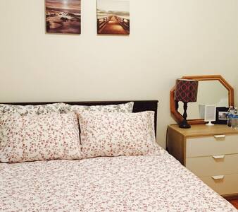 Chicago chinatown great location（B） (中文房东）