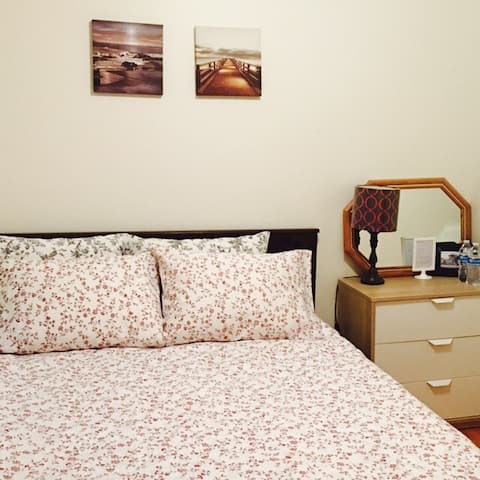 Chicago chinatown great location（B） (中文房东）