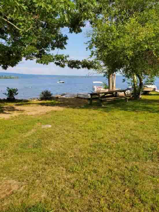 A grassy area extends towards a calm lake, with boats visible on the water. Tall trees provide shade along the shoreline, enhancing the serene environment. The scene captures a blend of nature and recreational opportunities at the water's edge.