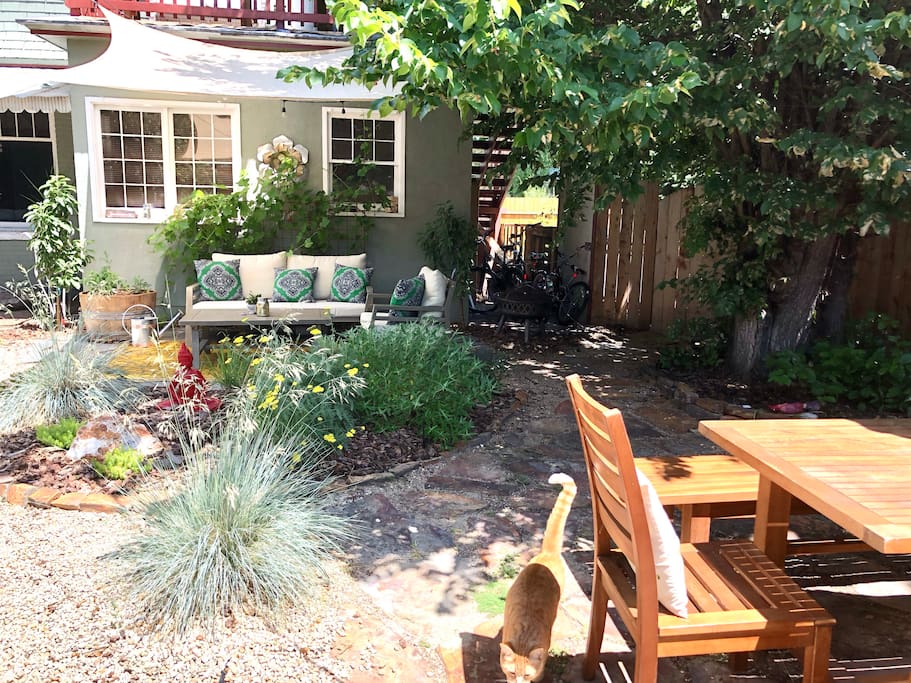 Backyard View