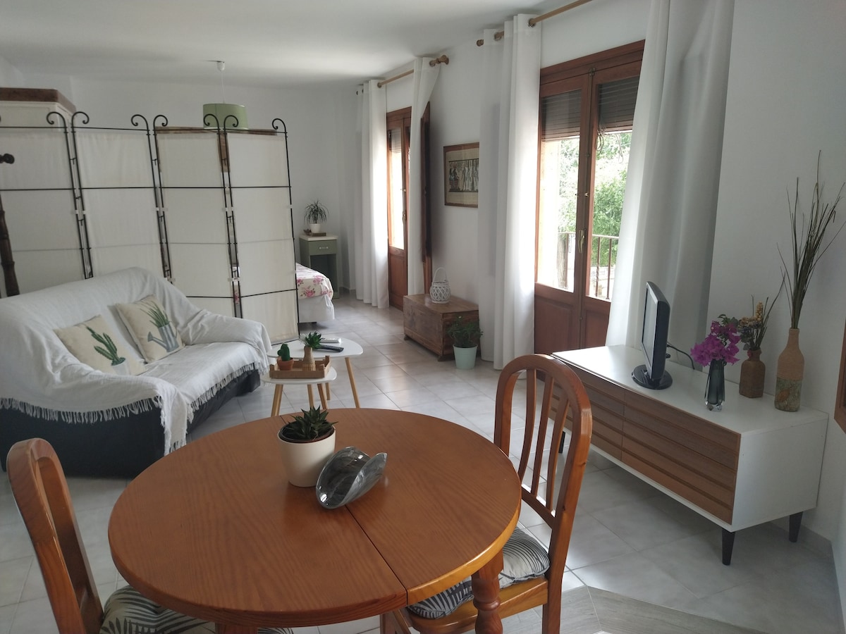 A spacious living area features a comfortable white couch with decorative cushions, complemented by a wooden dining table surrounded by matching chairs. Large windows draped with light curtains allow natural light to fill the room, and potted plants add a touch of greenery.