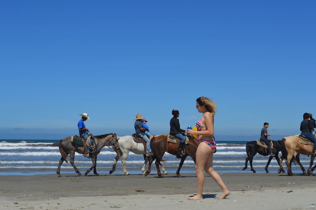 The beach