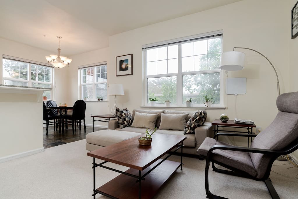 Comfy living room and dining area