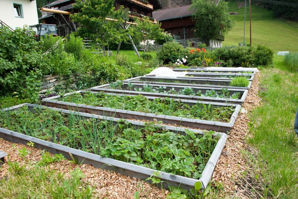 Kräutergarten