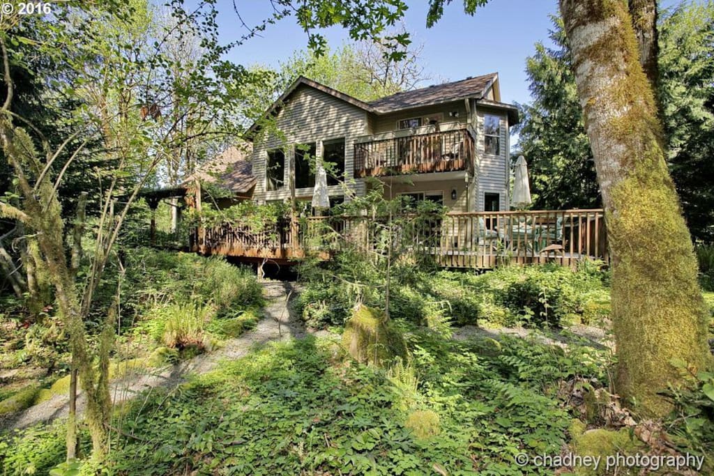 Lofty Meadows Cabin
