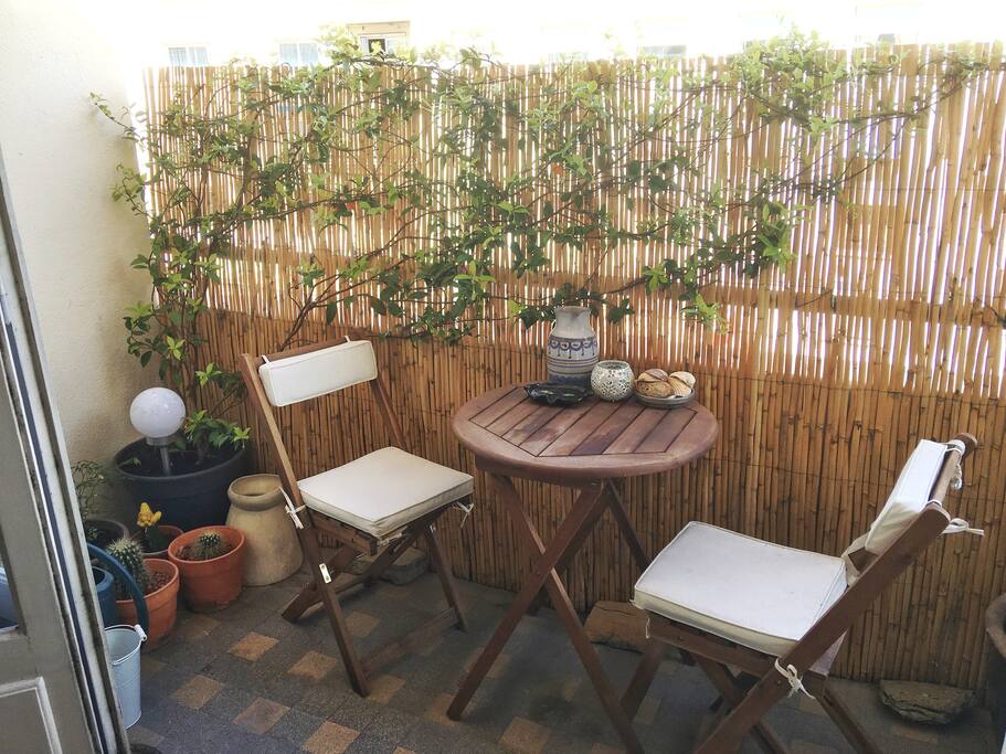 Terrasse coté rue orientée est