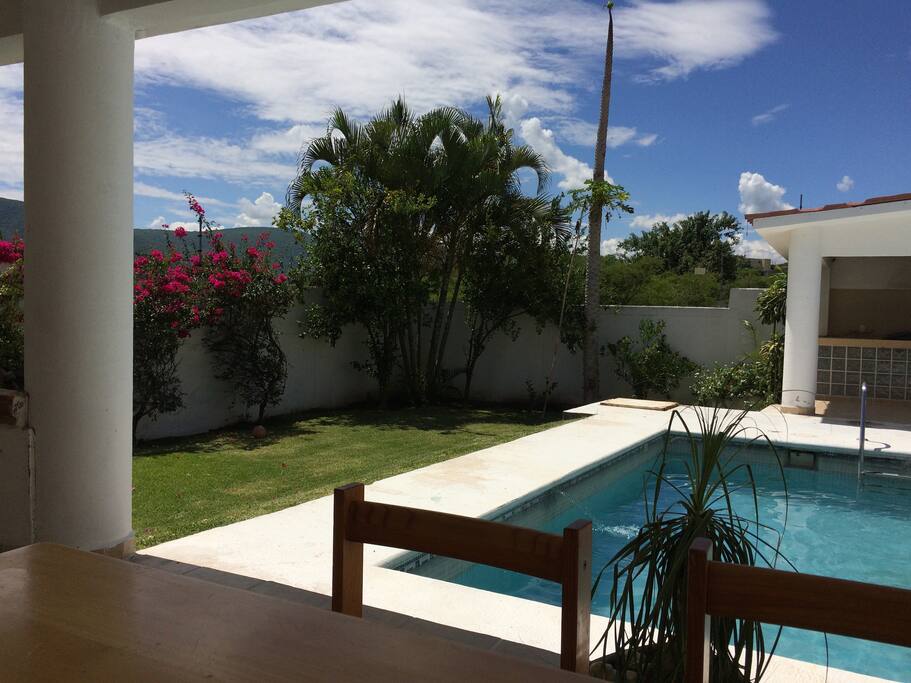 Alberca y jardin