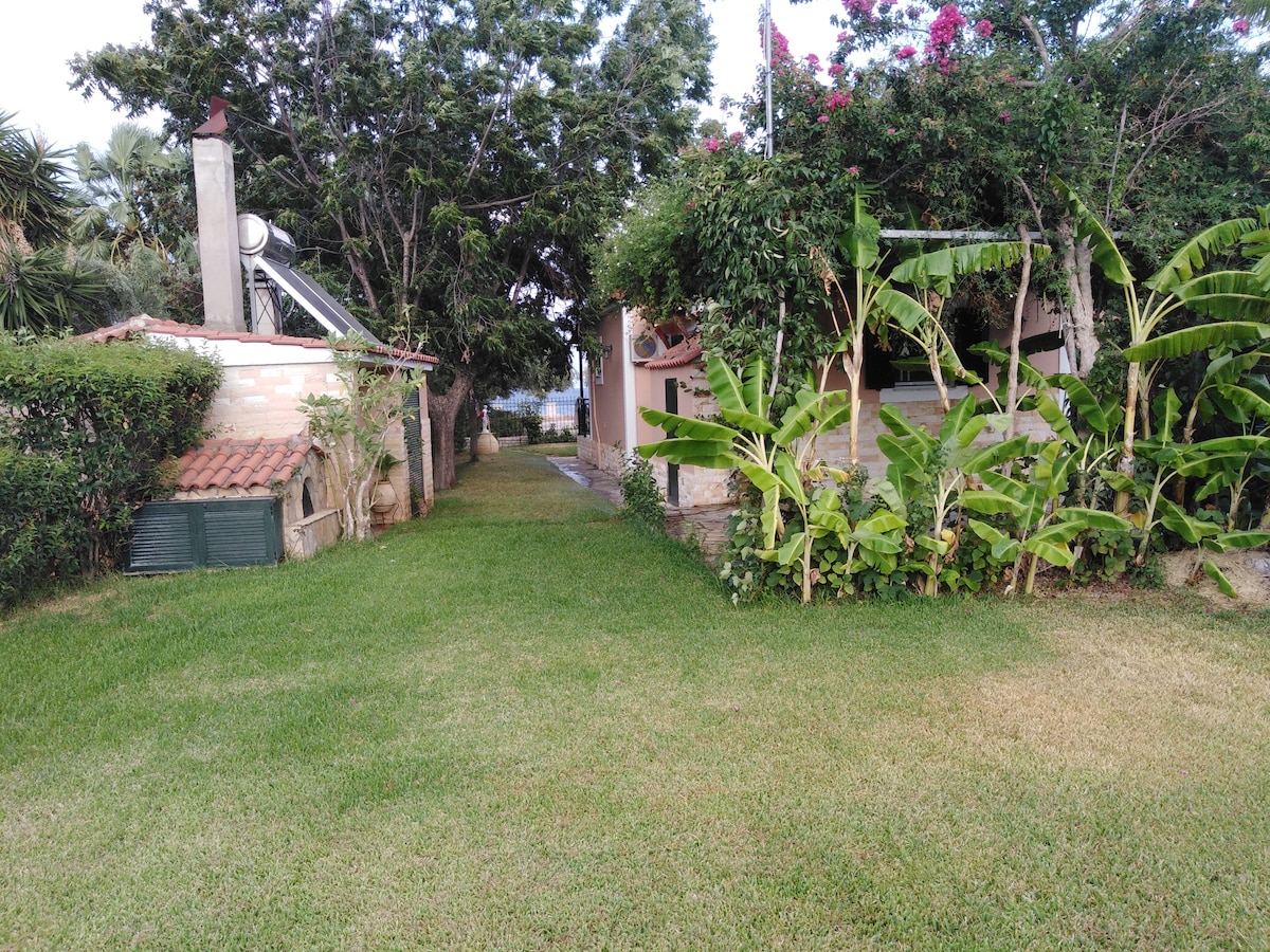 A lush green pathway is flanked by neatly trimmed hedges and tropical plants. The path leads towards the beach, visible in the distance. Two buildings are seen peeking through the foliage, showcasing a harmonious blend with the surrounding nature.