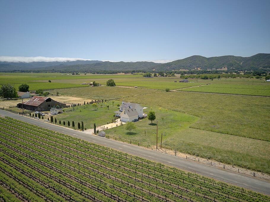 Vineyard Country