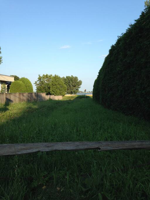 Accès au fleuve au bout de ce sentier (juste en face de la propriété).