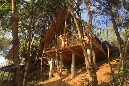 Cabaña Encino para parejas, Mazamitla