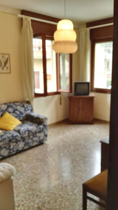Soggiorno con due divanetti ed uno è divano letto e TV.