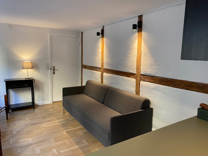 Historical Studio Apartment In Old Town - Kopenhag