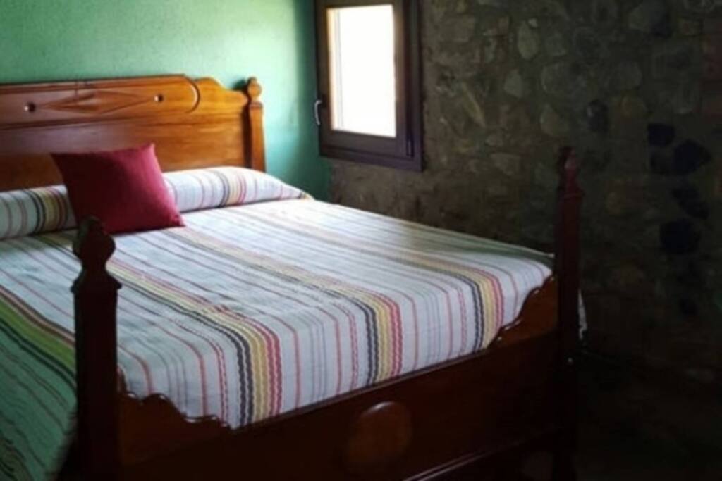 Habitación rustica verde