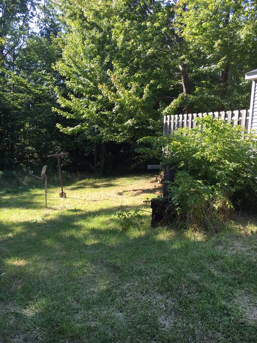 Side and back yard