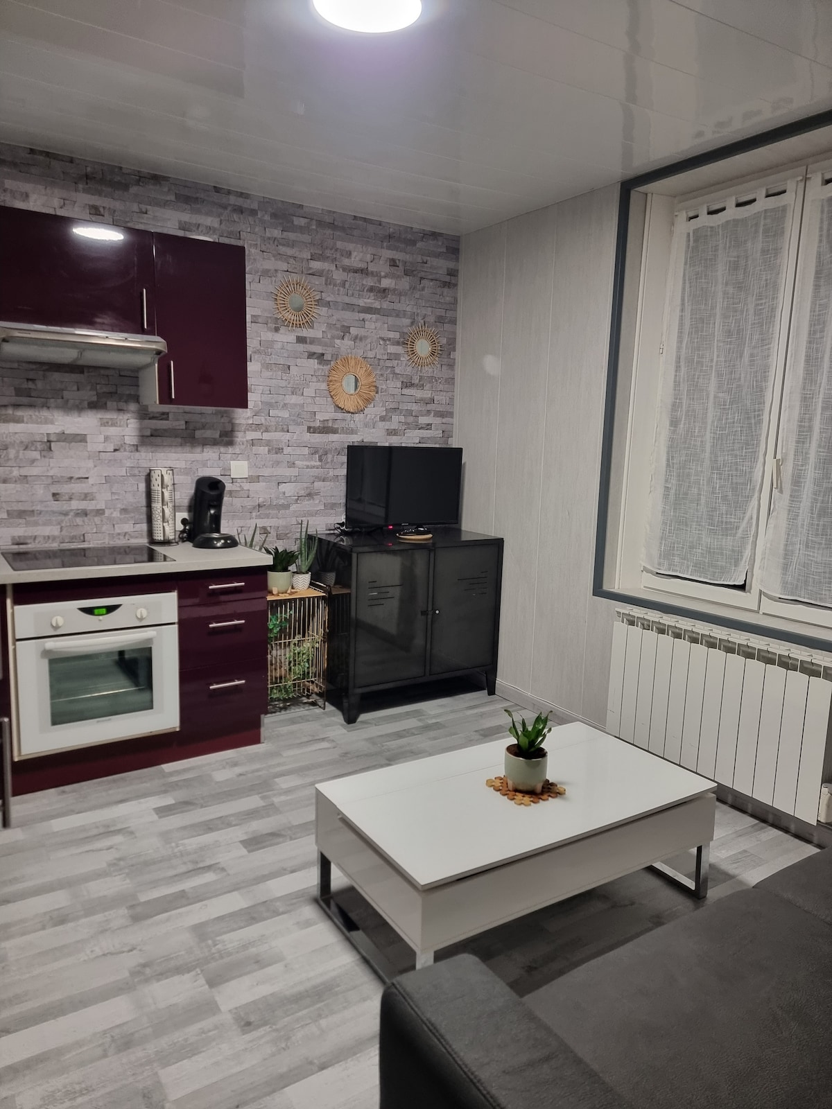 The studio features a compact kitchen area with burgundy cabinets and a combination oven. A small table is positioned in front of a dark television unit, and a potted plant adds a touch of greenery. Natural light filters through a window covered with sheer curtains.