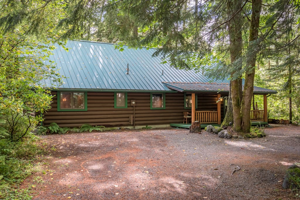 Knotty Bear Hideaway-Knotty Bear Hideaway