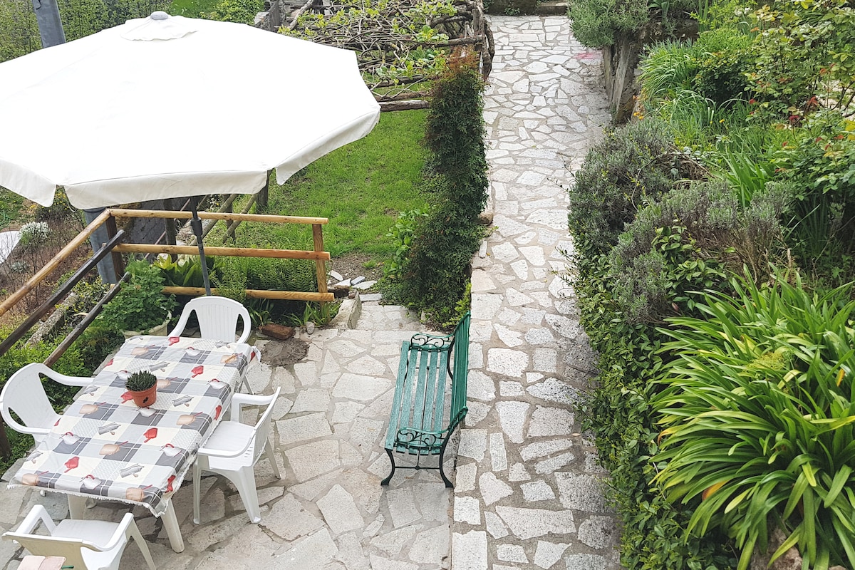 A stone pathway leads through the garden, with a white umbrella shading a table set for four. A green bench is positioned nearby, surrounded by lush greenery and blooming plants, creating an inviting outdoor space for relaxation.