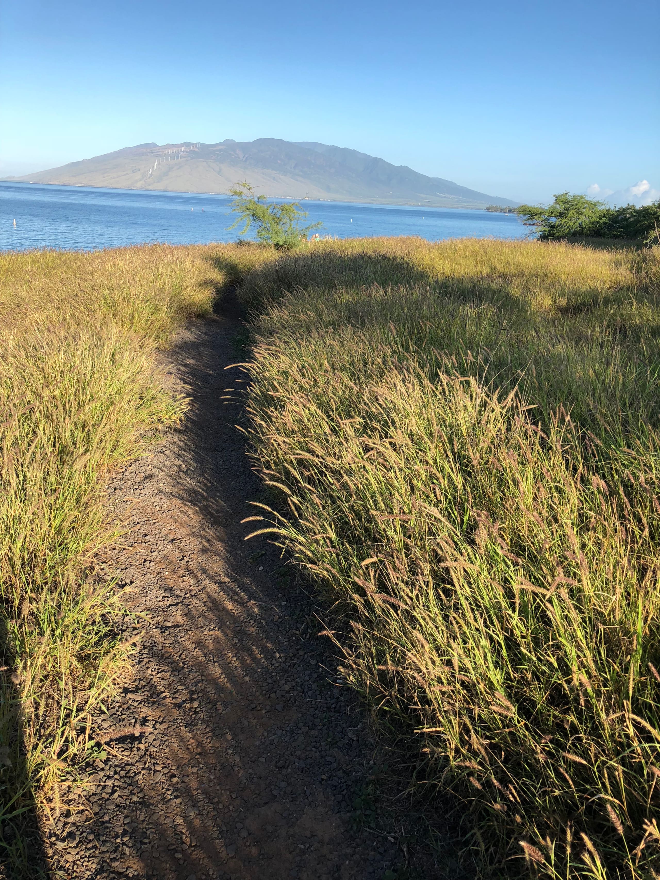Condo in Kihei · ★4.9 · 1 bedroom · 1 bed · 1 bath - Image 40