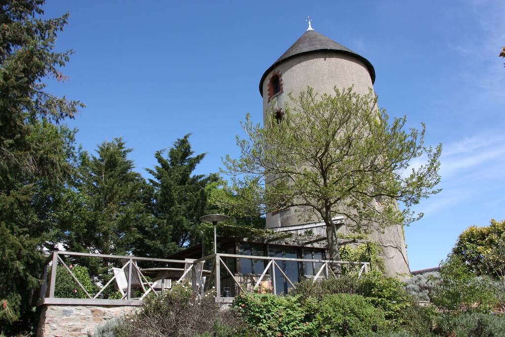 Terrasse du Moulin, vue sur le vignoble de Savennières