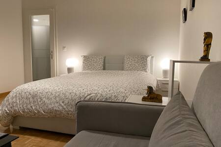 Cozy Apartment - GENEVA Center