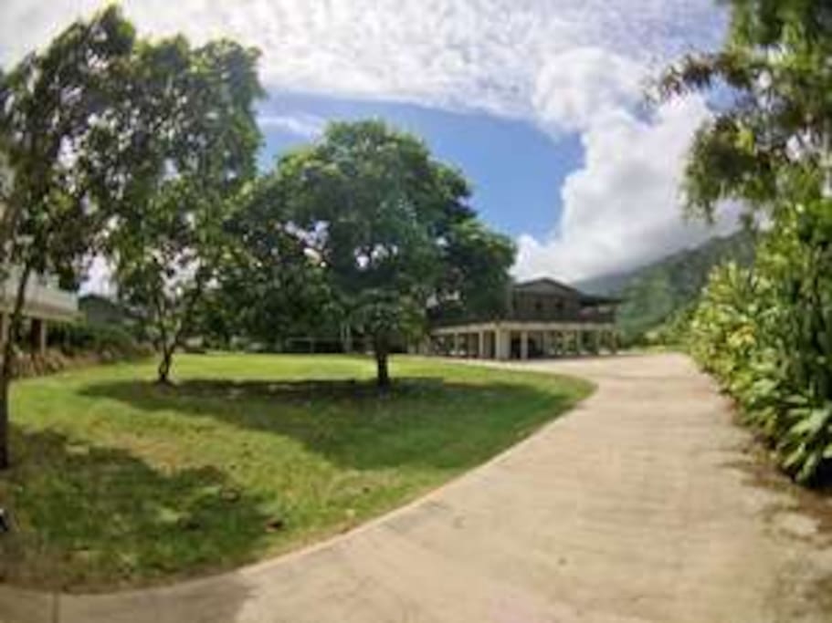 Large driveway with plenty of room for parking for a large group or family