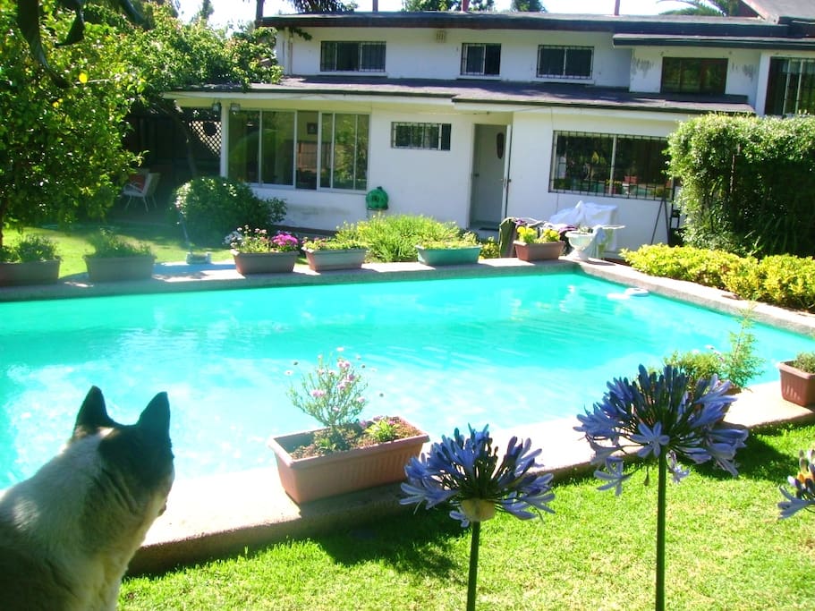 Vista desde la piscina hacia la casa