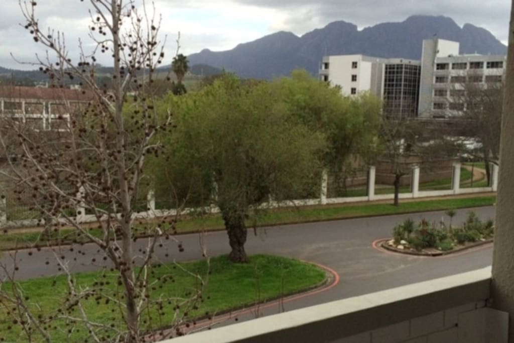 View from Balcony