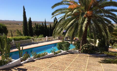 Beautiful house with large pool