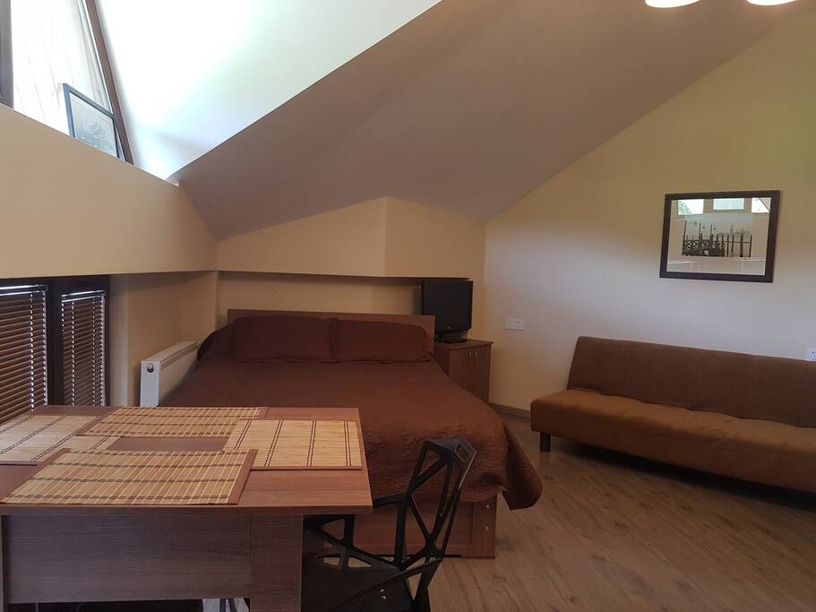 A bed and a pull-out sofa