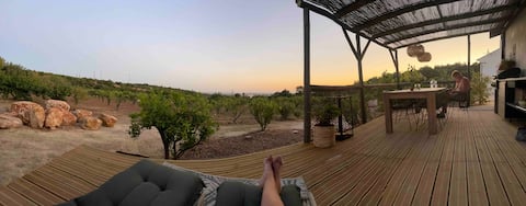 Popular Airbnb listing: Tiny house, on a plantation with sea views! in Faro