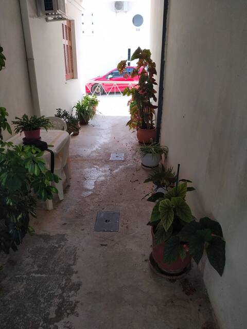 Οικογένεια Τζαβάρα