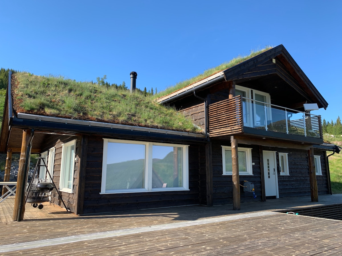 The cabin features a sloped green roof with a timber exterior. Large windows allow for natural light, while a spacious deck made of wooden planks provides outdoor access. A chimney and balcony are visible, blending contemporary design with the natural surroundings.