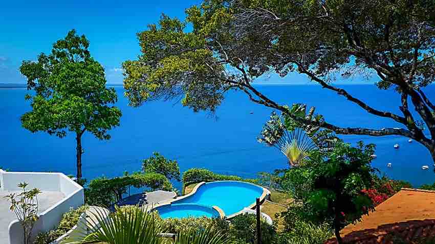 A panoramic view showcases a serene blue ocean meeting the sky, framed by lush greenery. A sparkling infinity pool is visible in the foreground, surrounded by tropical trees, creating a tranquil outdoor setting that invites relaxation.