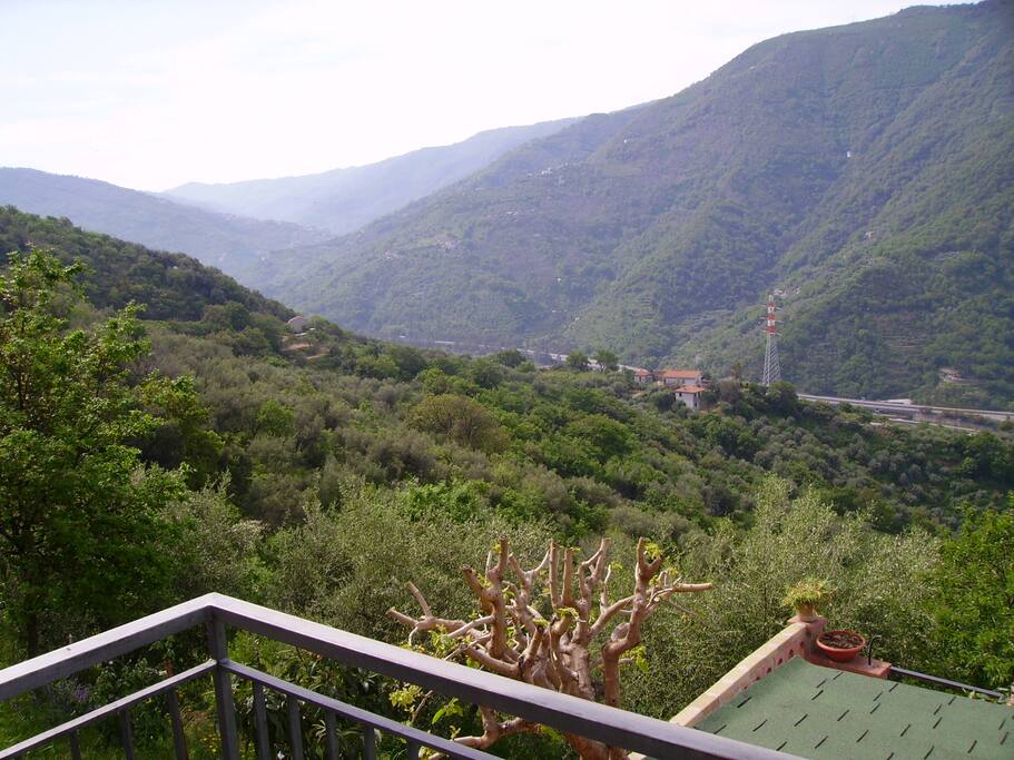 Vista dalla veranda/solarium