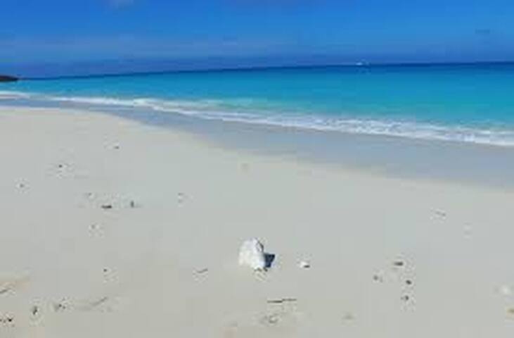 Special Price$$ at Our Cayman Retreat -  A2